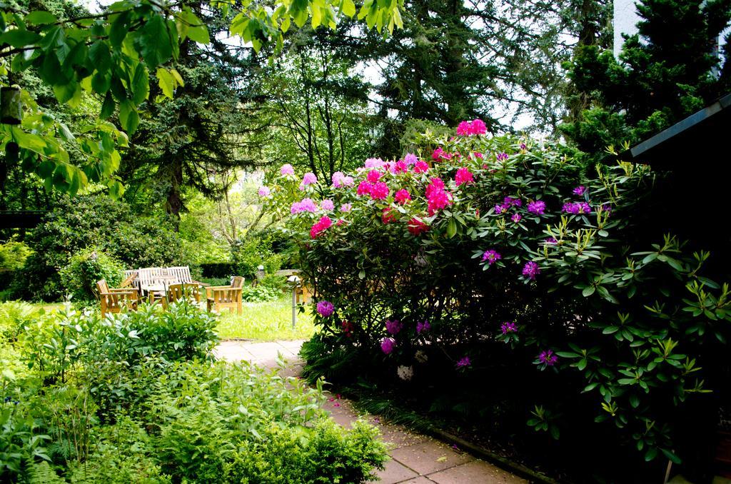 バート・オルプ Haus Helvetia Bed & Breakfast エクステリア 写真